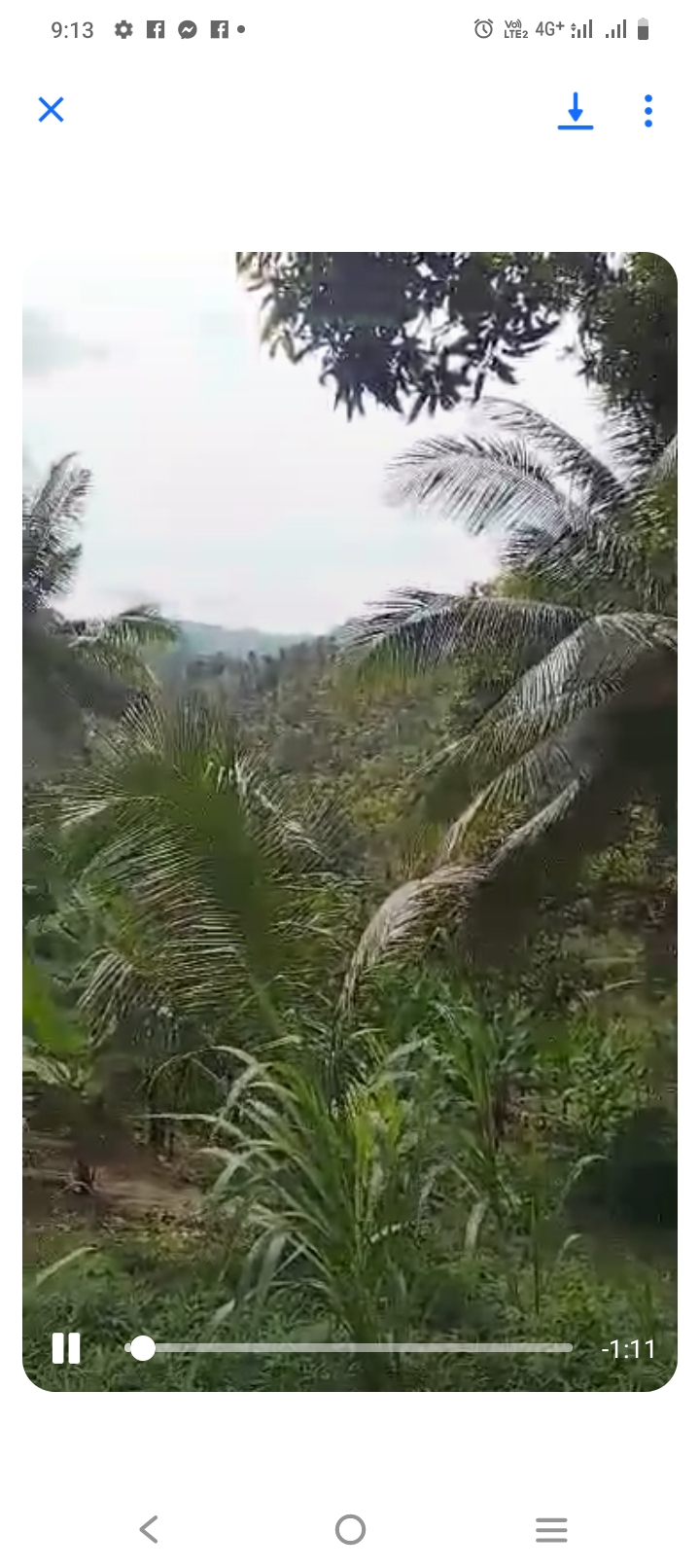 Farm lot in sarangani