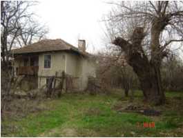 Property in Mussina for Renovation on Payment Plan