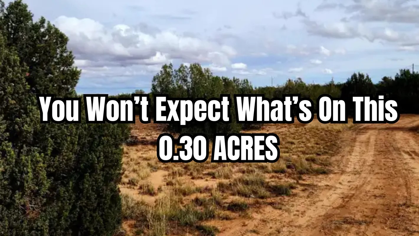 Your slice of peace, space, freedom is in Putnam County FL