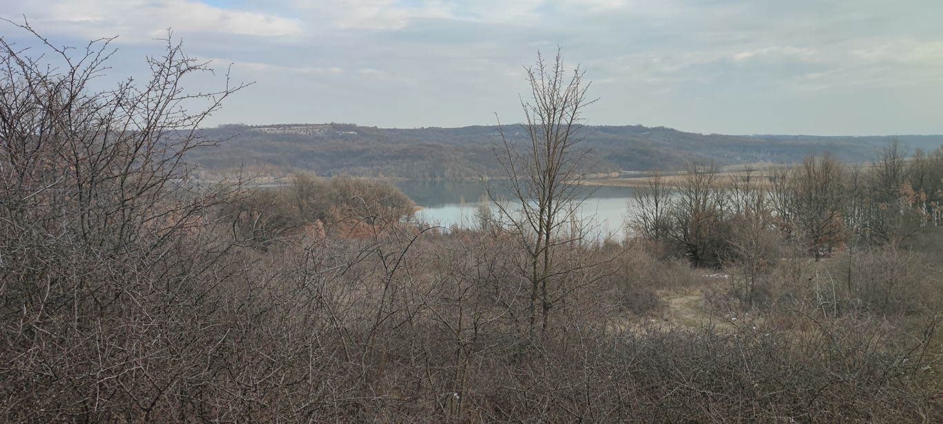 Forest bordered to a dam for sale!