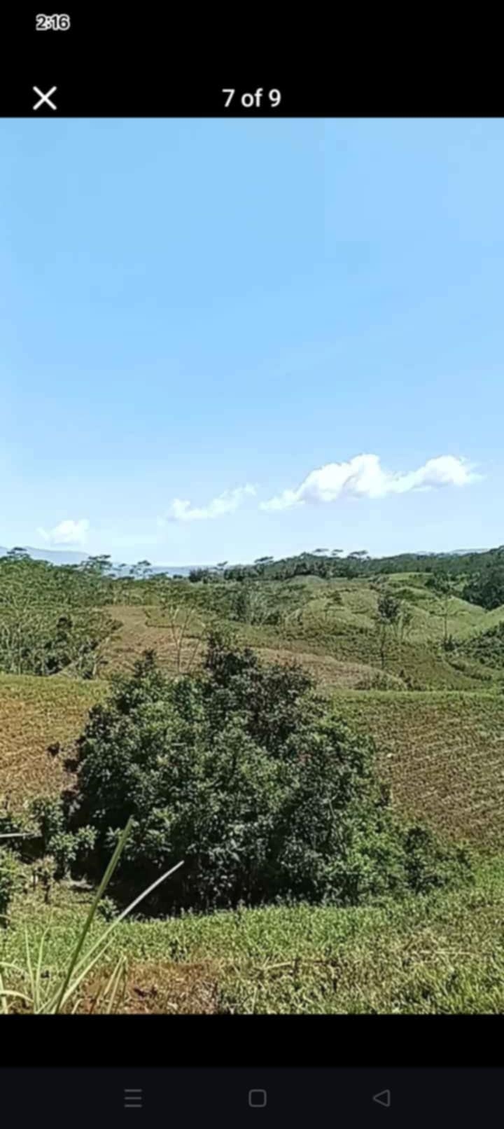 For sale farm lot in bukidnon, Philippines