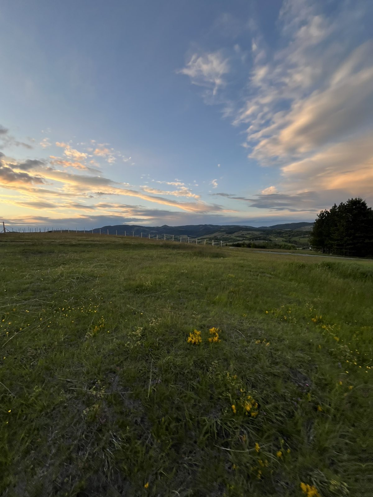 Sale of land in the village of Ljutice-Tometino Polje