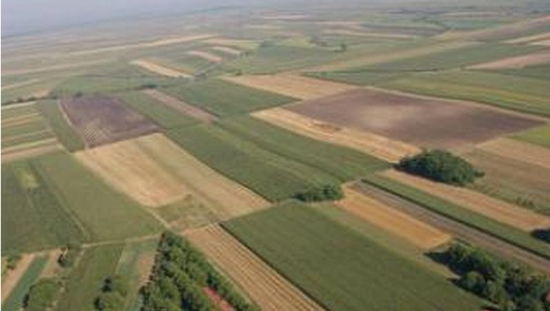 I am selling arable land in Krcedin
