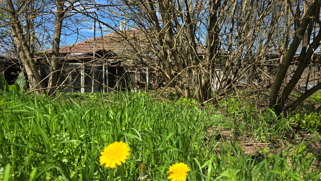 Danube Serenity Bulgarian Estate 5 bedrooms 2400sq.m garden